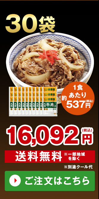 大盛牛丼の具 30袋