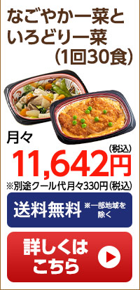 なごやか一菜といろどり一菜　月1回30食