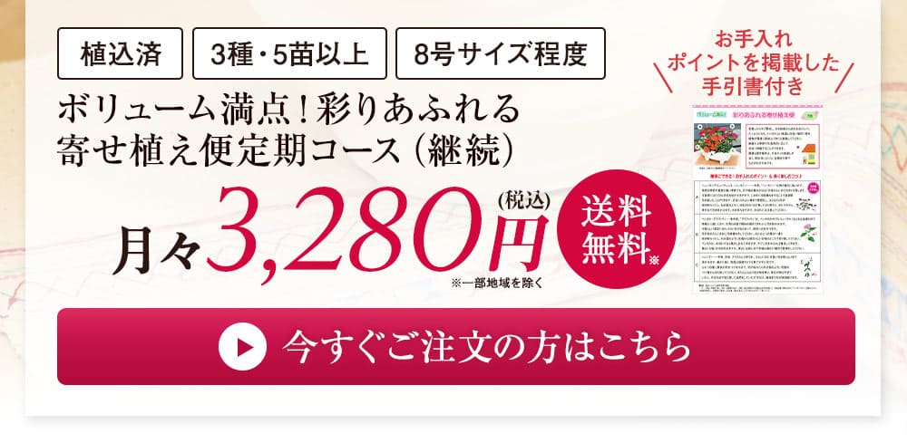 ボリューム満点！彩りあふれる寄植便　定期コース（継続）