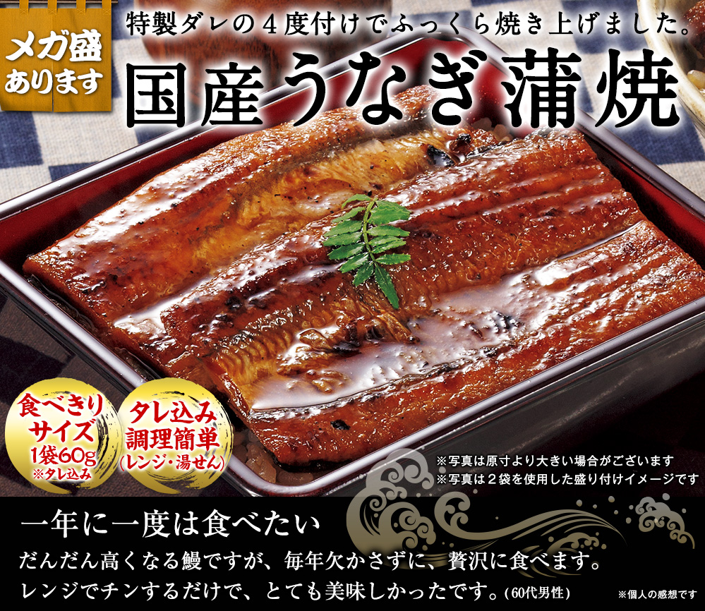 早期国産うなぎ蒲焼き（９袋）　食品通販のベルーナグルメ【公式】