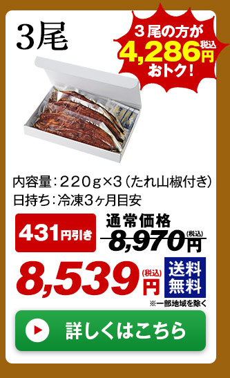 メガ!超特大!鹿児島県産うなぎ蒲焼き 3尾
