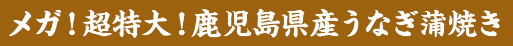 メガ！超特大！鹿児島県産うなぎ蒲焼き