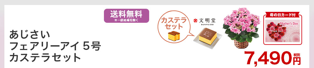 あじさいフェアリーアイ5号 カステラセット