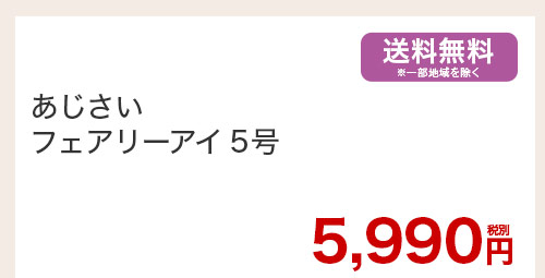 あじさいフェアリーアイ5号 花のみ