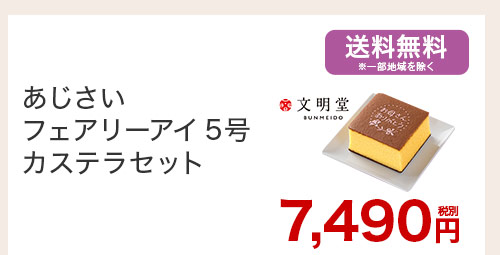 あじさいフェアリーアイ5号 カステラセット