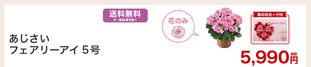 あじさいフェアリーアイ5号 お花のみ