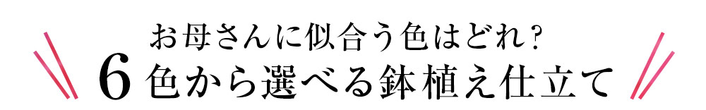 6色から選べる