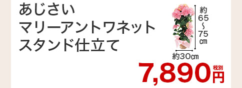 マリーアントワネット