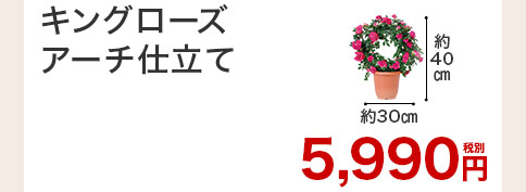 キングローズ