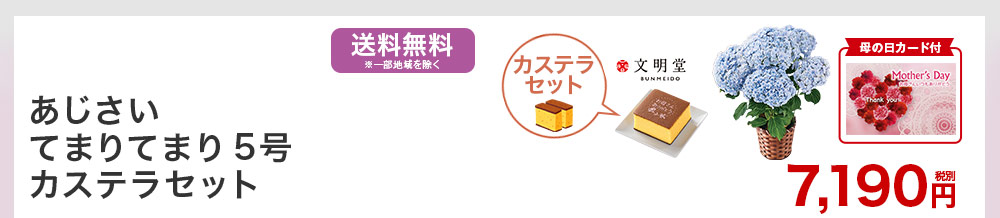 あじさい てまりてまり5号 カステラセット