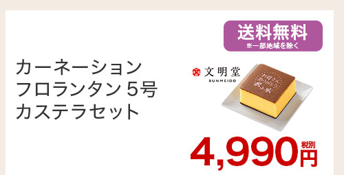 カーネーション フロランタン5号 カステラセット