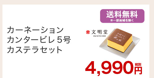 カーネーション カンタービレ5号 カステラセット