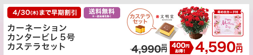 カーネーションカンタービレ5号 カステラセット