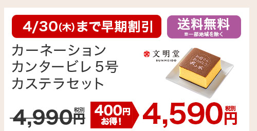 カーネーション カンタービレ5号 カステラセット