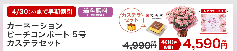 カーネーションピーチコンポート5号 カステラセット