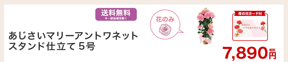 マリーアントワネット スタンド仕立て5号