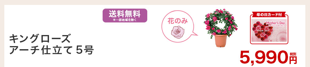 キングローズ アーチ仕立て5号