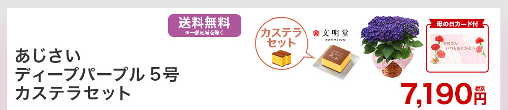 あじさいディープパープル5号 カステラセット