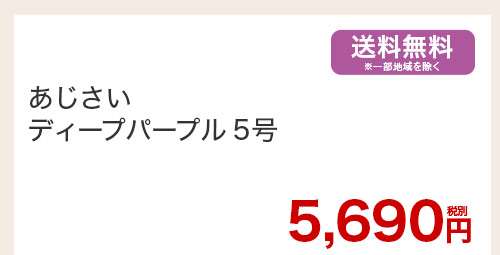 あじさい ディープパープル5号 花のみ