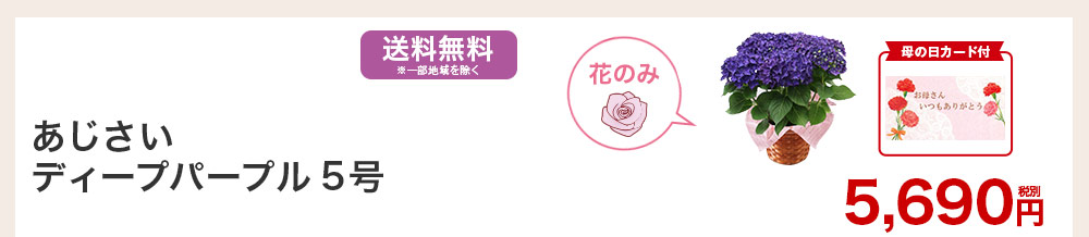 あじさいディープパープル5号 お花のみ