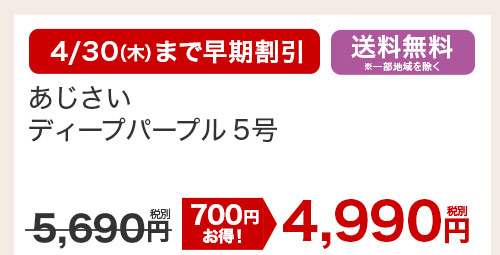 あじさい ディープパープル5号 花のみ