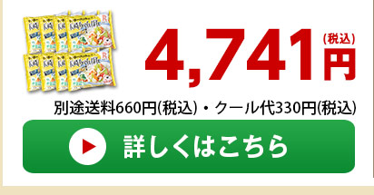 長崎ちゃんぽん8食