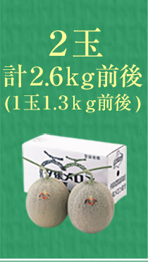 2玉（計2.6kg）