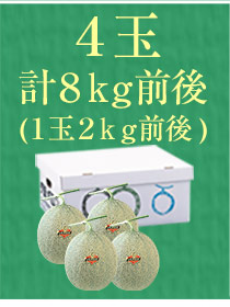 4玉（8kg）