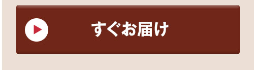 アソートチョコレート 通常お届け