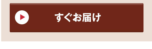 ベアーズコレクション クラシカ 通常お届け