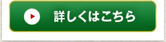 お手軽！プリプリ国産牛もつ鍋セット1袋はこちら