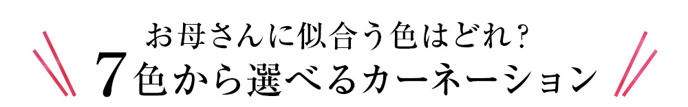 7色から選べるカーネーション