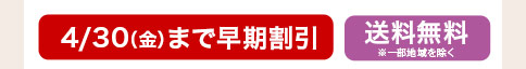 カーネーション ゆきかなで 4月30日まで早期割引 送料無料