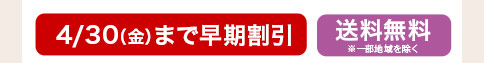 カーネーション さくら月夜 4月30日まで早期割引 送料無料