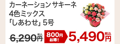 カーネーション しあわせ 花のみ