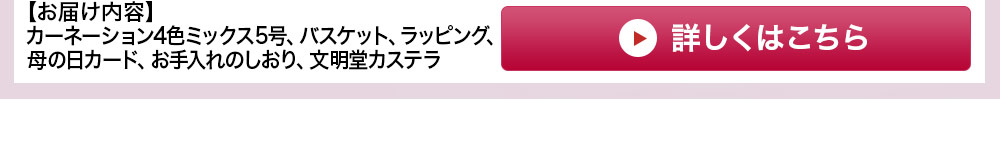 カーネーションしあわせ5号 カステラセット 詳しくはこちら