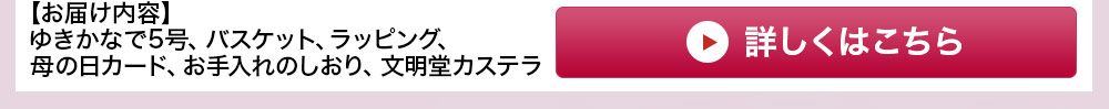 カーネーションゆきかなで5号 カステラセット 詳しくはこちら