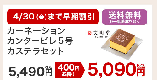 カーネーションカンタービレ5号 カステラセット