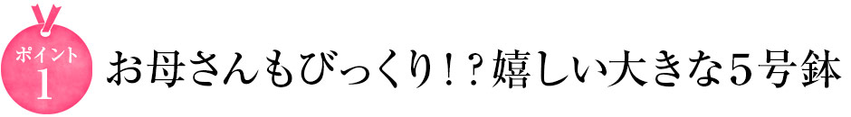 こだわりその1 お母さんもびっくり⁉嬉しい大きな5号鉢