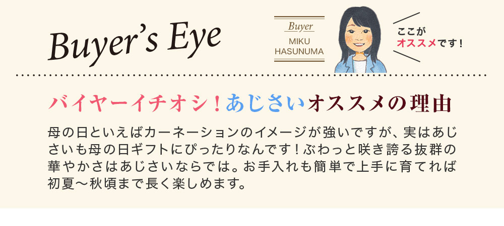 Buyer's Eye