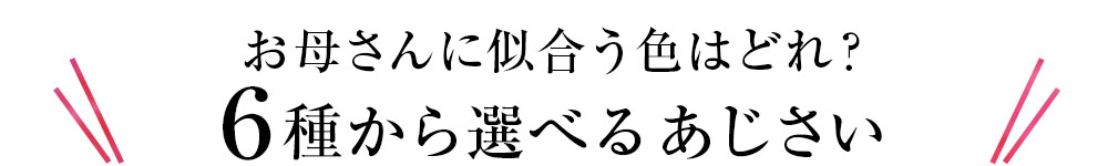 6種から選べるあじさい