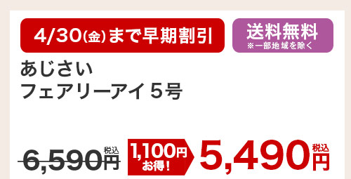 あじさいフェアリーアイ5号 花のみ