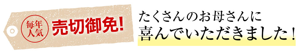 あじさいフェアリーアイ たくさんのお母さんに喜んでいただきました！