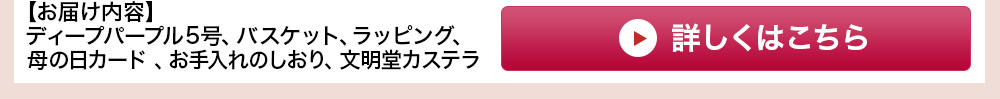 あじさいディープパープル5号 カステラセット 詳しくはこちら