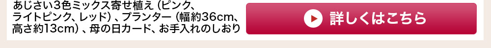 あじさい3色ミックス寄せ植え お花のみ 詳しくはこちら