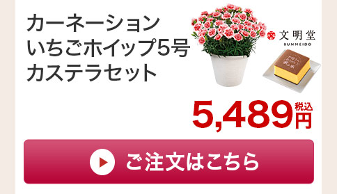 カーネーションいちごホイップ カステラセットご注文はこちら