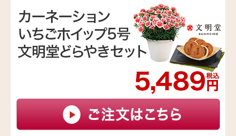 カーネーションいちごホイップ どらやきセットご注文はこちら
