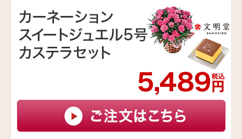 カーネーションスイートジュエル カステラセットご注文はこちら