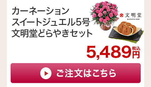 カーネーションスイートジュエル どらやきセットご注文はこちら