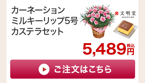カーネーションミルキーリップ カステラセットご注文はこちら